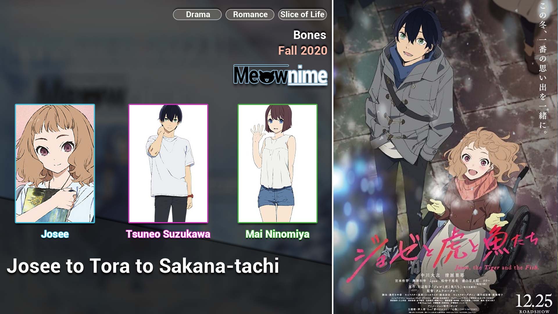 Download Anime Josee to Tora to Sakana-tachi Sub Indo - Meownime